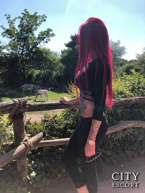 Escortdame Jenny - Bild 2